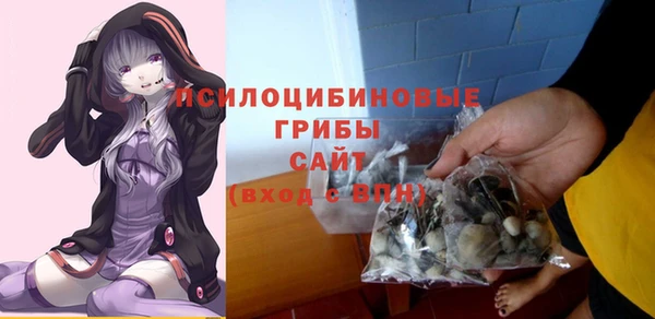 таблы Краснослободск