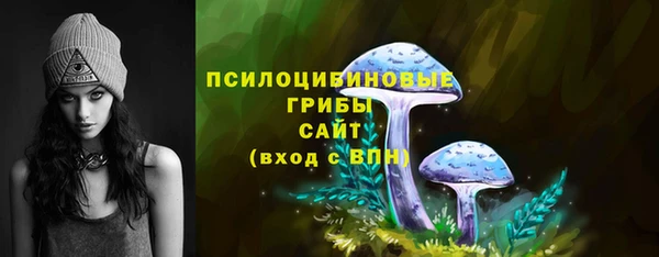 таблы Краснослободск