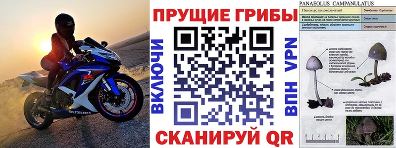 наркошоп  Уварово  MEGA маркетплейс  Псилоцибиновые грибы MAGIC MUSHROOMS 